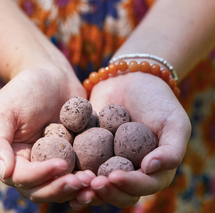 Grow Peace Seed Balls