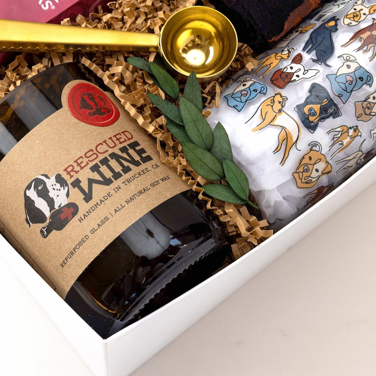 A Rare Cause - Cold Brew